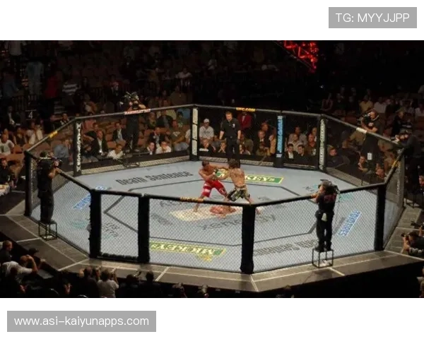 格斗UFC:超级对决燃爆擂台,精彩不断!,格斗比赛ufc
